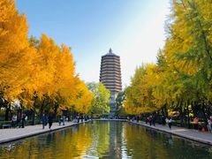 -玲珑塔公园