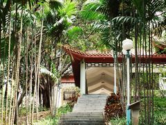 -深圳龙潭公园
