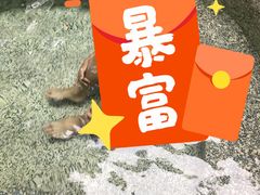 -海口观澜湖火山温泉谷