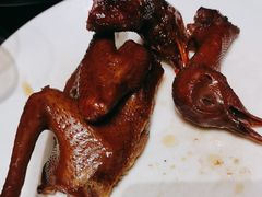 -鸽子侯·家宴·平价海鲜(绿地店)