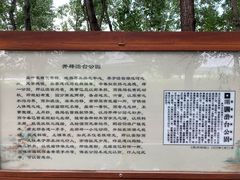 -澹台湖公园