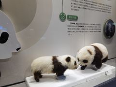 -四川大学博物馆