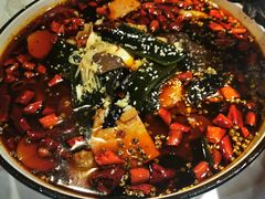 -雲蜀龙阁·金牌水煮鱼(方庄店)