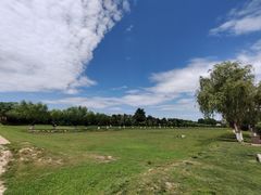 -汉长安城未央宫国家考古遗址公园