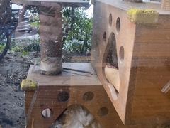 -爱侣·安琦尔宠物医院·中兽医针灸·心内科·狂犬免疫点(宝山区院)