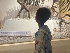 -国家自然博物馆