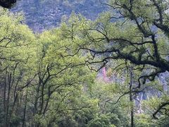 -融水老君洞景区