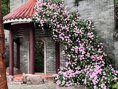 -深圳国际园林花卉博览园