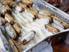 -楠溪江风景名胜区