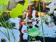 -道南書院·私房菜·早午茶·茶馆