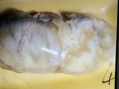 -鲜丰水果(番禺路店)