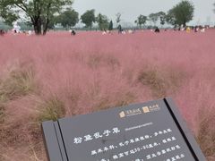 -汉长安城未央宫国家考古遗址公园