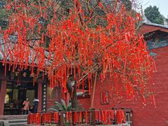 -七曲山风景区
