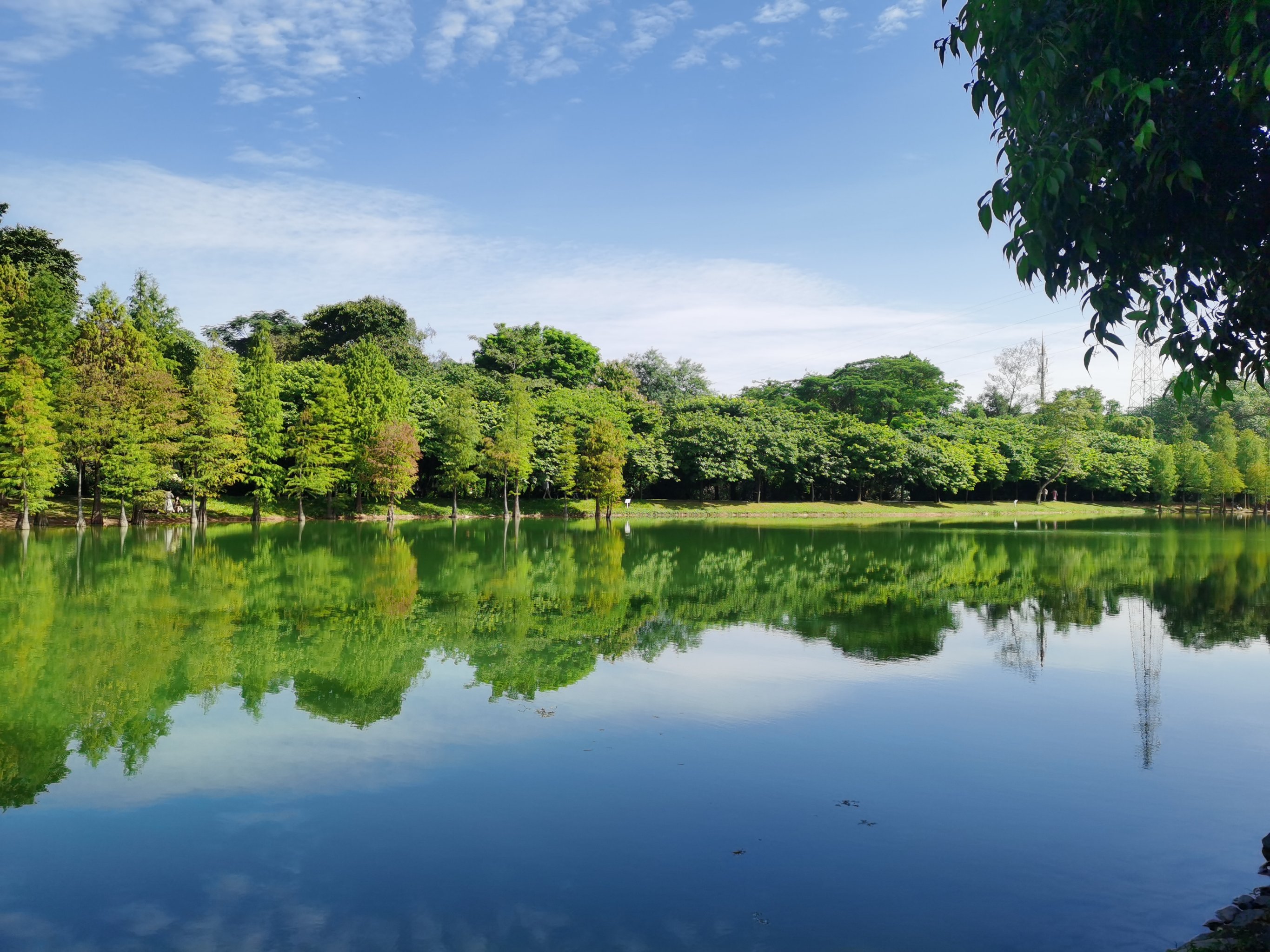 让人心情愉悦的风景图图片