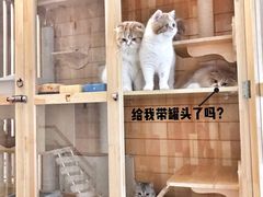 -Double Rui宠物酒店