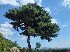 -天津盘山风景名胜区