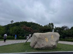 -洛阳古墓博物馆