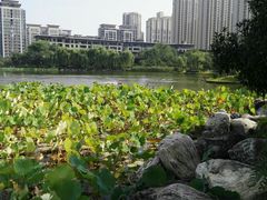 -木塔寺遗址生态公园