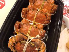-黄记大闸蟹专卖店·活蟹·醉蟹