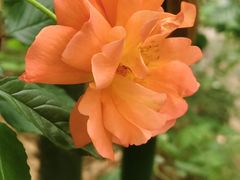-方家厨房(玉皇山店)