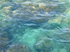 -三亚西岛海洋文化旅游区