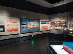 -湖南省地质博物馆