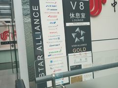 -虹桥机场国航贵宾室v8