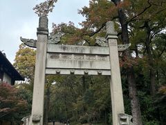 -灵谷景区