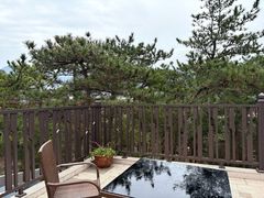 -庐山风景区花径公园