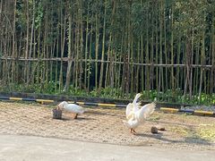-知美术馆