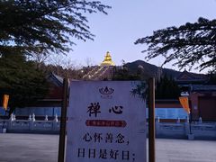 -龙口南山旅游景区