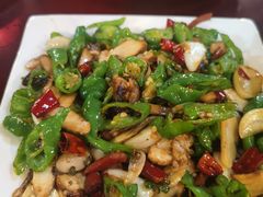 -蘑统田下·野生菌火锅