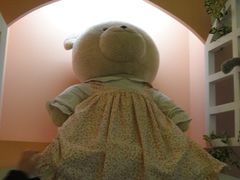 -济州岛泰迪熊博物馆