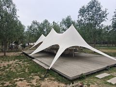 -西青郊野公园