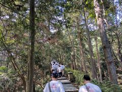 -井冈山革命烈士陵园