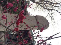 大清真寺-西安化觉巷清真大寺