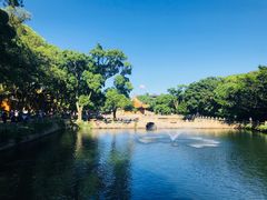 -普陀山慧济禅寺