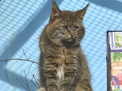 -青藏高原野生动物园