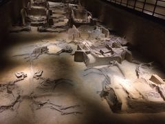 -洛阳周王城天子驾六博物馆