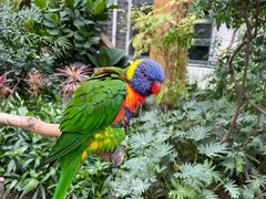 -南宫五洲植物乐园