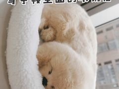 -鲸渝眼镜·浅目视光(春熙路店)