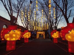 -北京鹿世界主题园