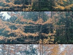 -秦岭风景区