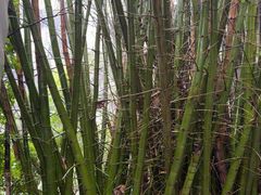 -桂林兴坪漓江