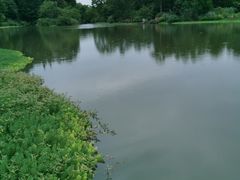 -桤木河湿地公园