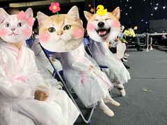 -予荷舞蹈(盛景校区)