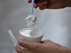 -洪馨椰子