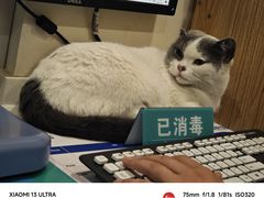 -美迦爱-牙专科·兔科·骨科诊疗中心(北苑店)