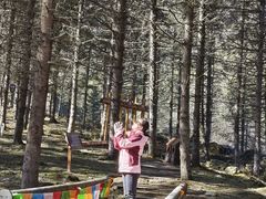 -硗碛藏寨·神木垒景区