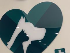 -瑞派康怡24h宠物医院·犬猫医疗中心·微创绝育(瑞景分院)